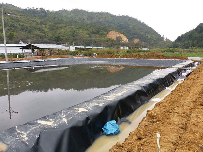 魚(yú)塘里用土工膜做防滲層需不需要回填土壤？